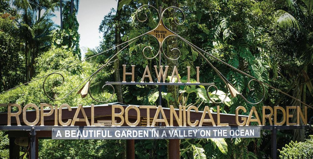 Volcano Park Rentals Ngoại thất bức ảnh